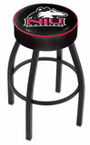 Northern Illinois Bar Stool