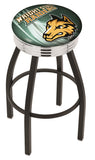 Wright State Bar Stool