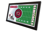 South Carolina Football Mirror