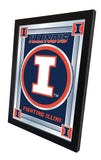 Illinois Logo Mirror