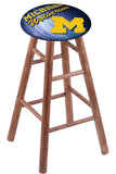 Michigan Stool