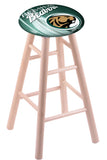 Bemidji State Stool