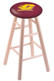 Central Michigan Stool