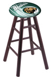 Bemidji State Stool