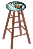 Bemidji State Stool