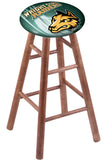 Wright State Bar Stool