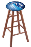 Eastern Illinois Bar Stool
